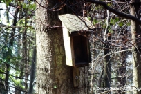 Wycieczka na Kamienny